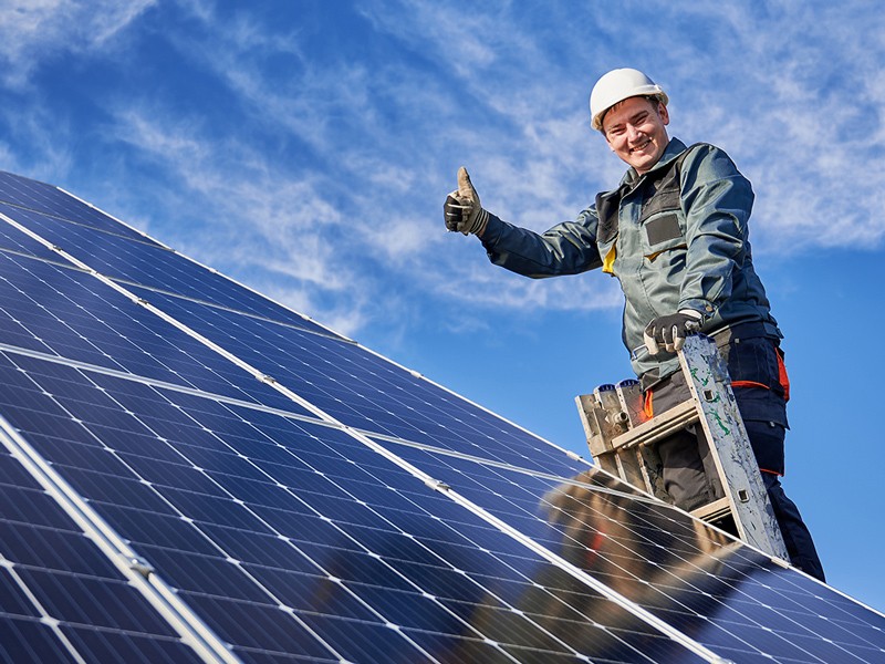 Անվճար <br>չափագրում